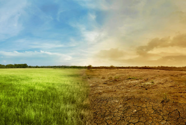 SterlingRisk Insurance - Customized Insurance Solutions for the Environmental Industry