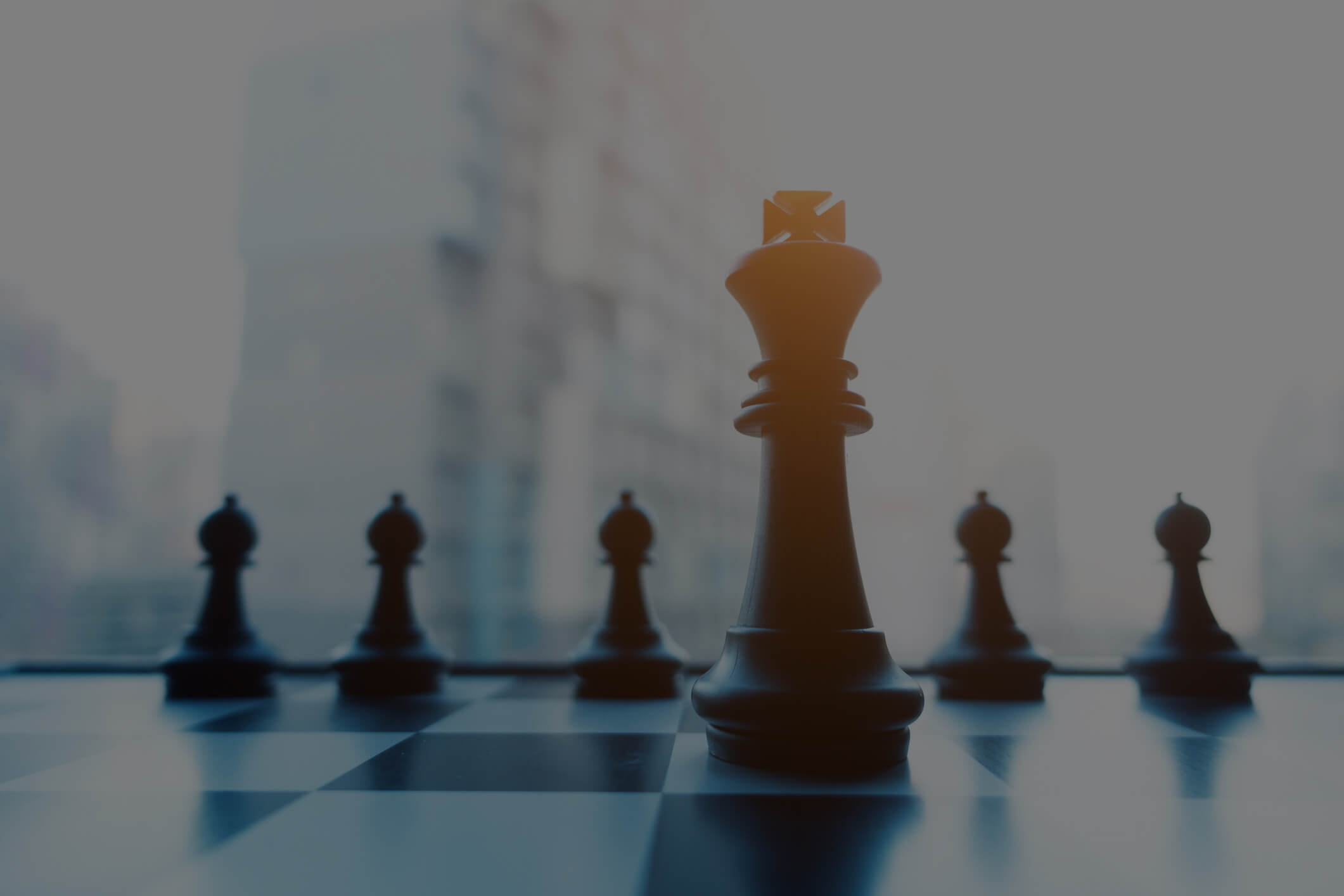 SterlingRisk Executive Team - Customized Insurance Solutions for Your Lifestyle