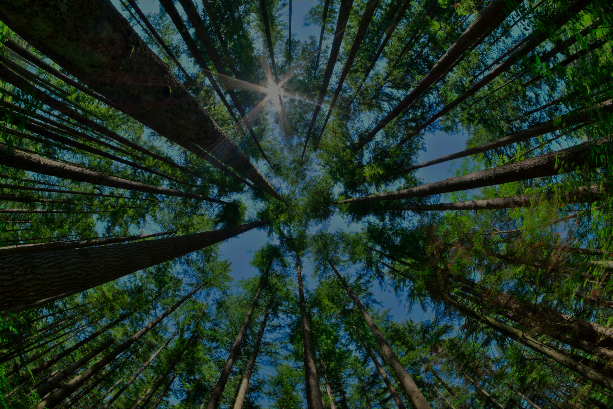 SterlingRisk Insurance - Customized Insurance Solutions for the Environmental Industry