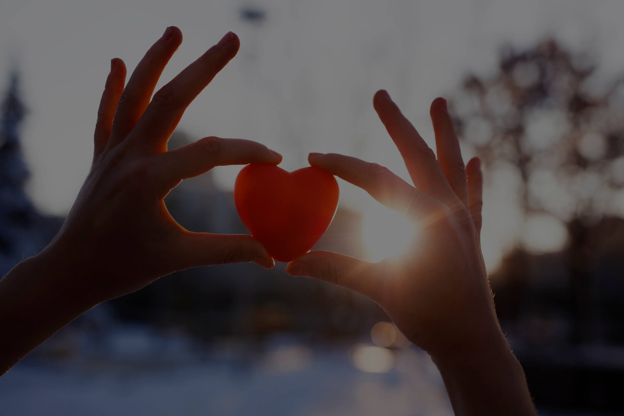 SterlingRisk Goes Red for Women and the American Heart Association
