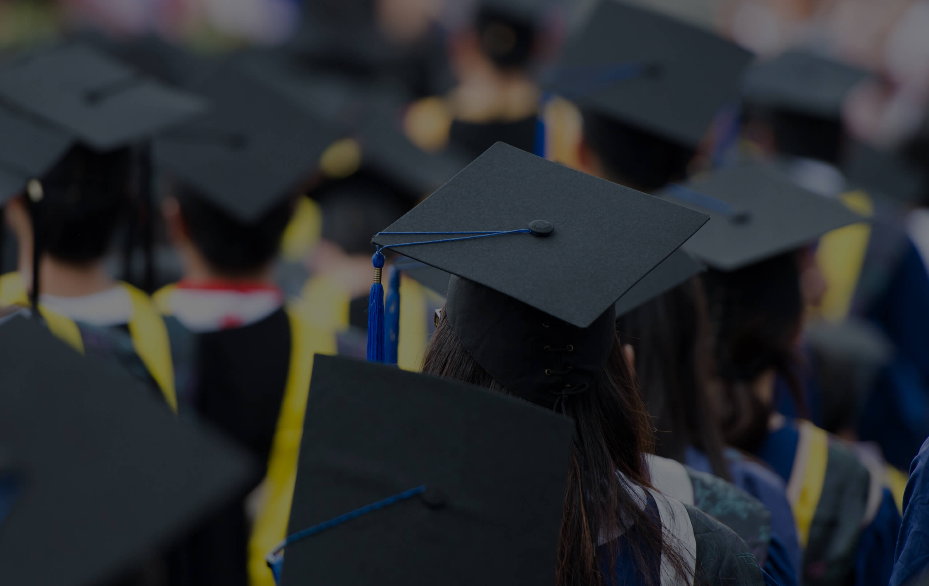 SterlingRisk Insurance - Customized Insurance Solutions for the Education Industry