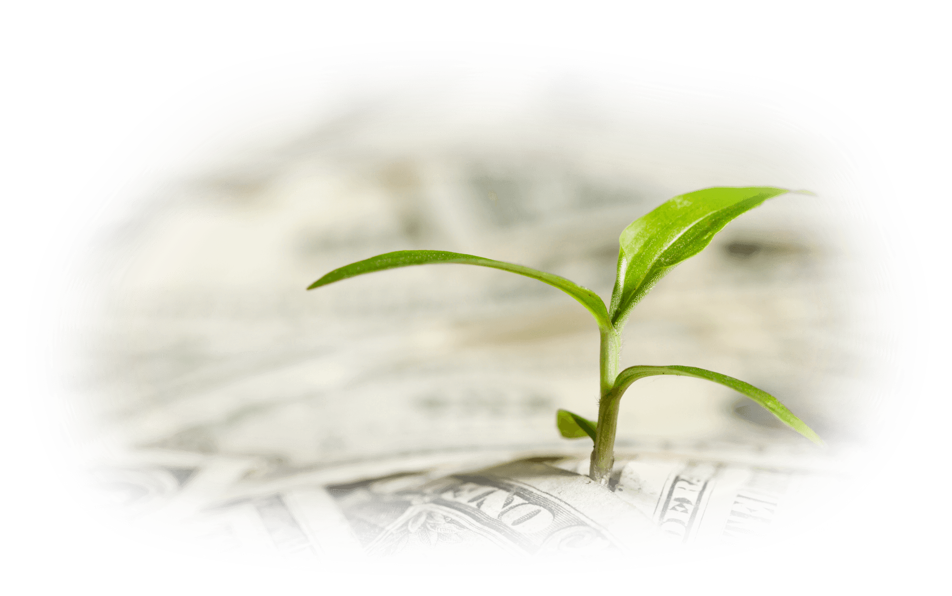 SterlingRisk Insurance - Customized Insurance Solutions for the Environmental & Professional Industries